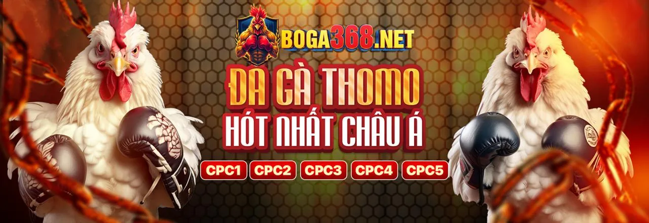 Sân vận động tràn ngập ánh sáng với các môn thể thao đang diễn ra, biểu tượng cho cá cược thể thao DK88.