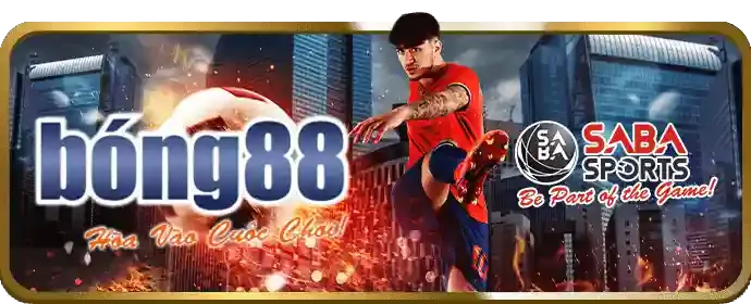 Hình ảnh đại diện cho dịch vụ hỗ trợ khách hàng của DK88 Khuyến mãi